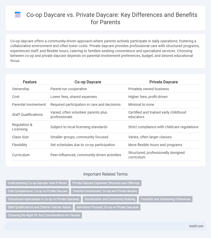 Co-op Daycare vs. Private Daycare: Key Differences and Benefits for Parents