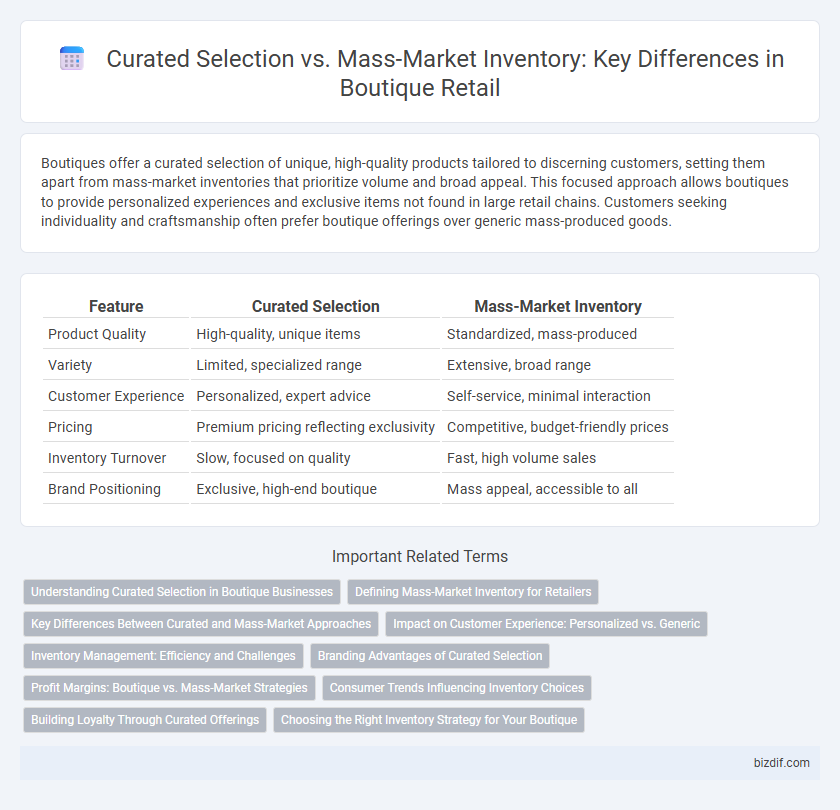 Curated Selection vs. Mass-Market Inventory: Key Differences in Boutique Retail