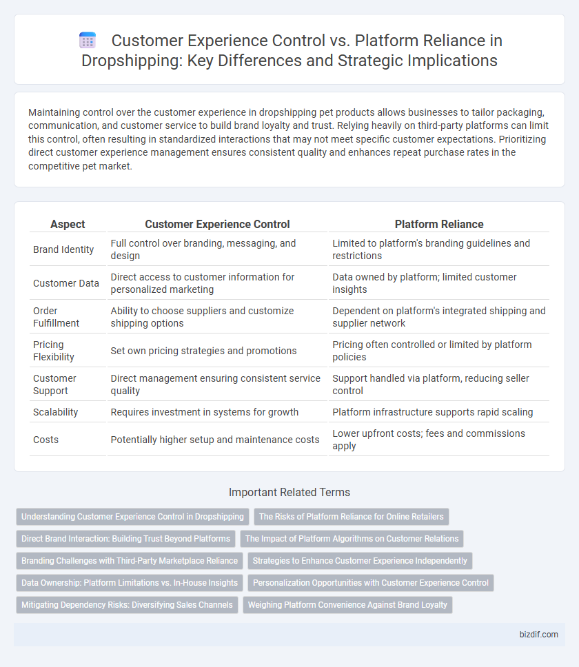 Customer Experience Control vs. Platform Reliance in Dropshipping: Key Differences and Strategic Implications
