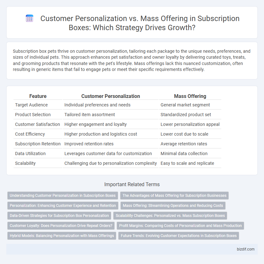 Customer Personalization vs. Mass Offering in Subscription Boxes: Which Strategy Drives Growth?