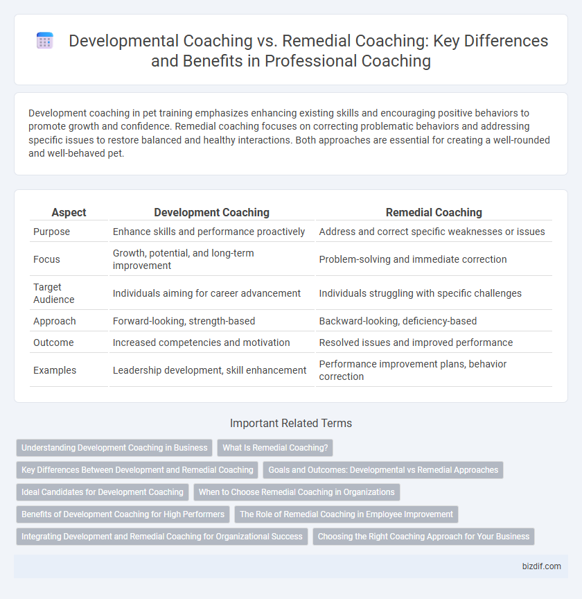 Developmental Coaching vs. Remedial Coaching: Key Differences and Benefits in Professional Coaching