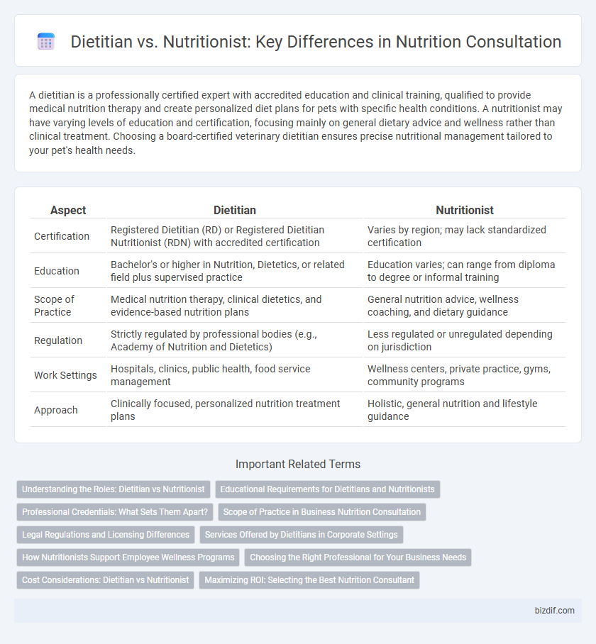 Dietitian vs. Nutritionist: Key Differences in Nutrition Consultation