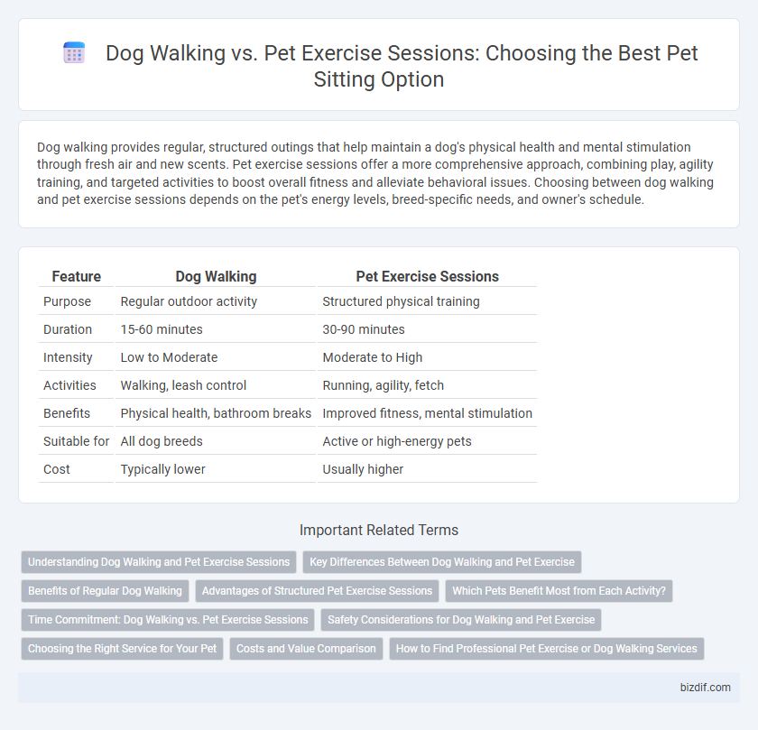 Dog Walking vs. Pet Exercise Sessions: Choosing the Best Pet Sitting Option