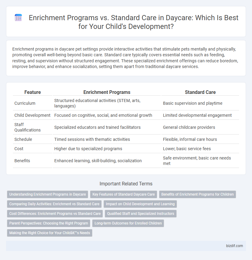 Enrichment Programs vs. Standard Care in Daycare: Which Is Best for Your Child's Development?