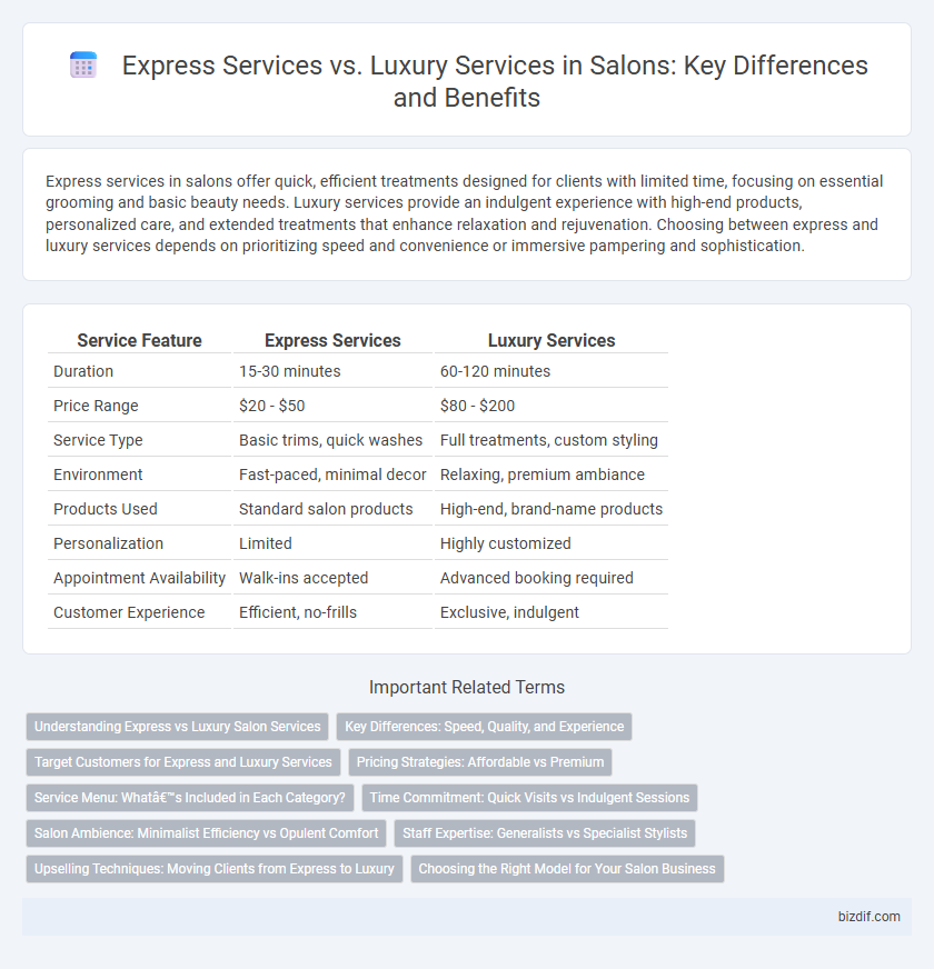 Express Services vs. Luxury Services in Salons: Key Differences and Benefits