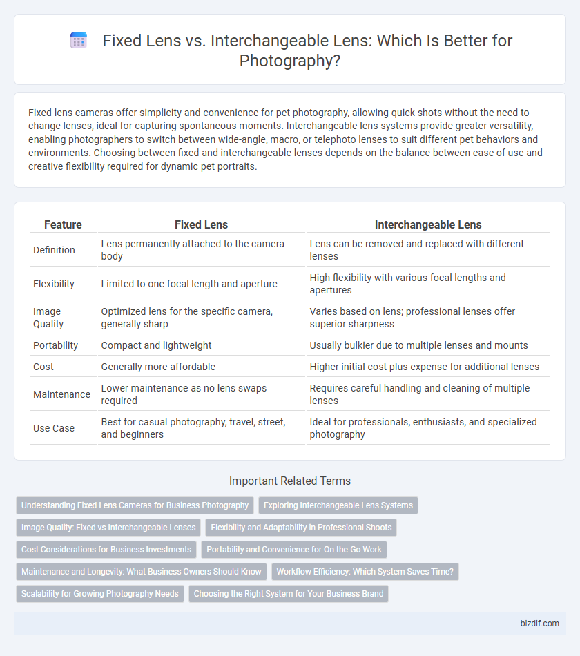 Fixed Lens vs. Interchangeable Lens: Which Is Better for Photography?