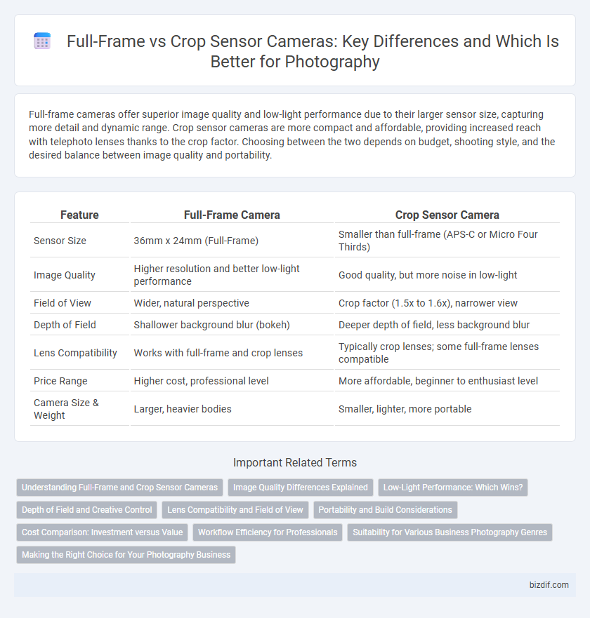 Full-Frame vs Crop Sensor Cameras: Key Differences and Which Is Better for Photography