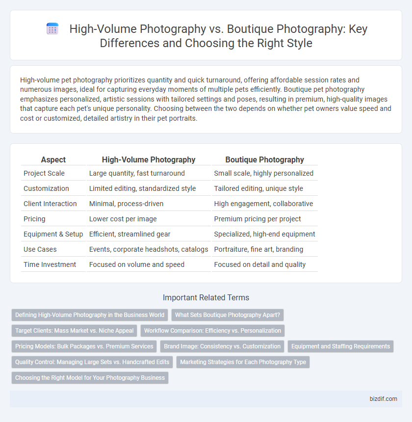 High-Volume Photography vs. Boutique Photography: Key Differences and Choosing the Right Style