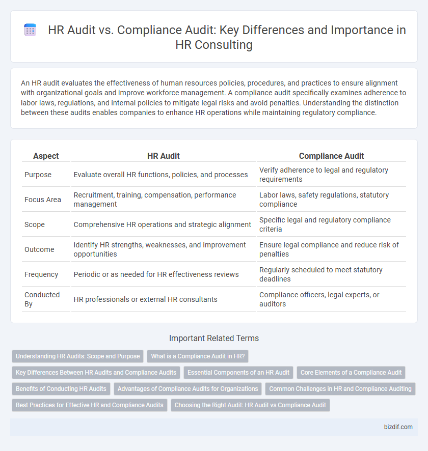 HR Audit vs. Compliance Audit: Key Differences and Importance in HR Consulting