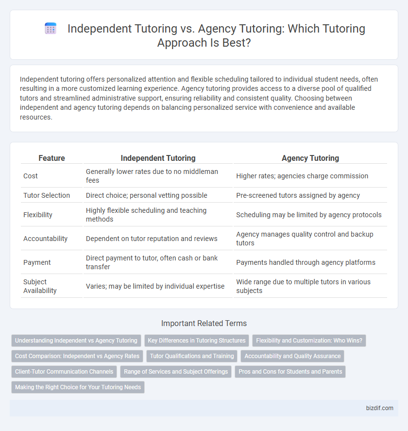 Independent Tutoring vs. Agency Tutoring: Which Tutoring Approach Is Best?