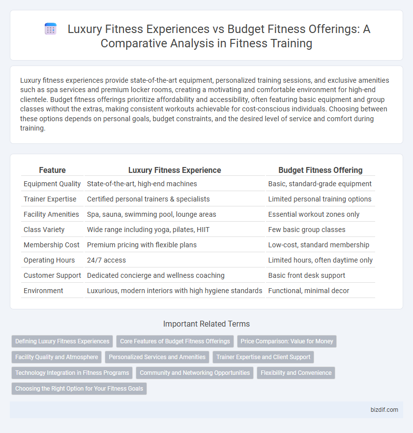 Luxury Fitness Experiences vs Budget Fitness Offerings: A Comparative Analysis in Fitness Training