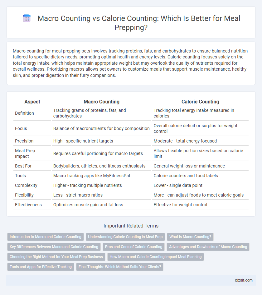 Macro Counting vs Calorie Counting: Which Is Better for Meal Prepping?