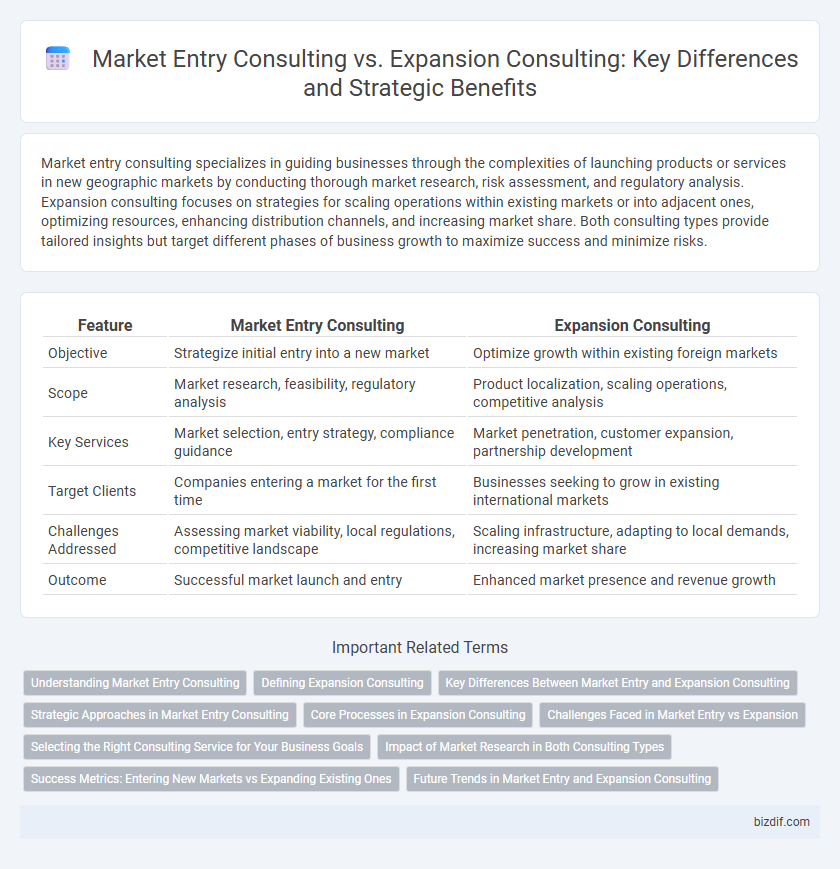 Market Entry Consulting vs. Expansion Consulting: Key Differences and Strategic Benefits