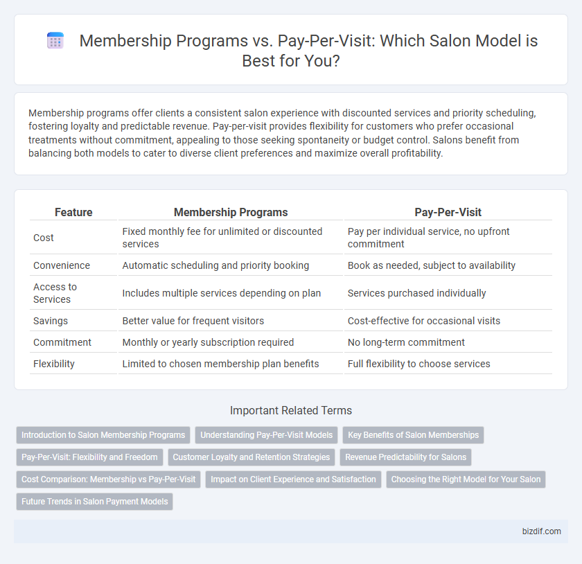 Membership Programs vs. Pay-Per-Visit: Which Salon Model is Best for You?
