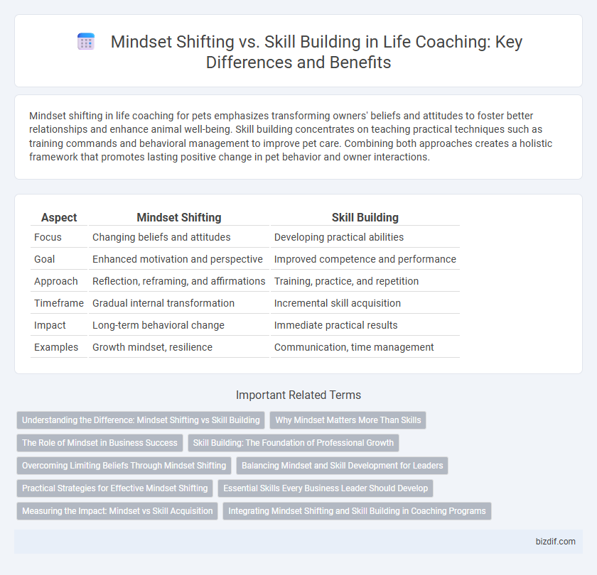 Mindset Shifting vs. Skill Building in Life Coaching: Key Differences and Benefits