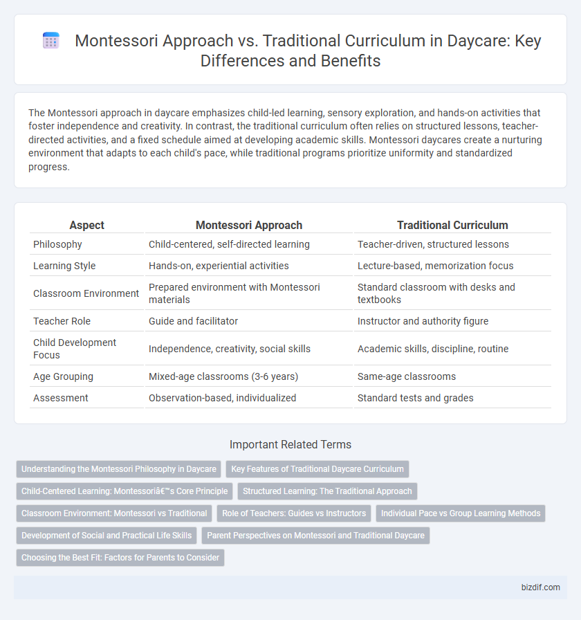 Montessori Approach vs. Traditional Curriculum in Daycare: Key Differences and Benefits