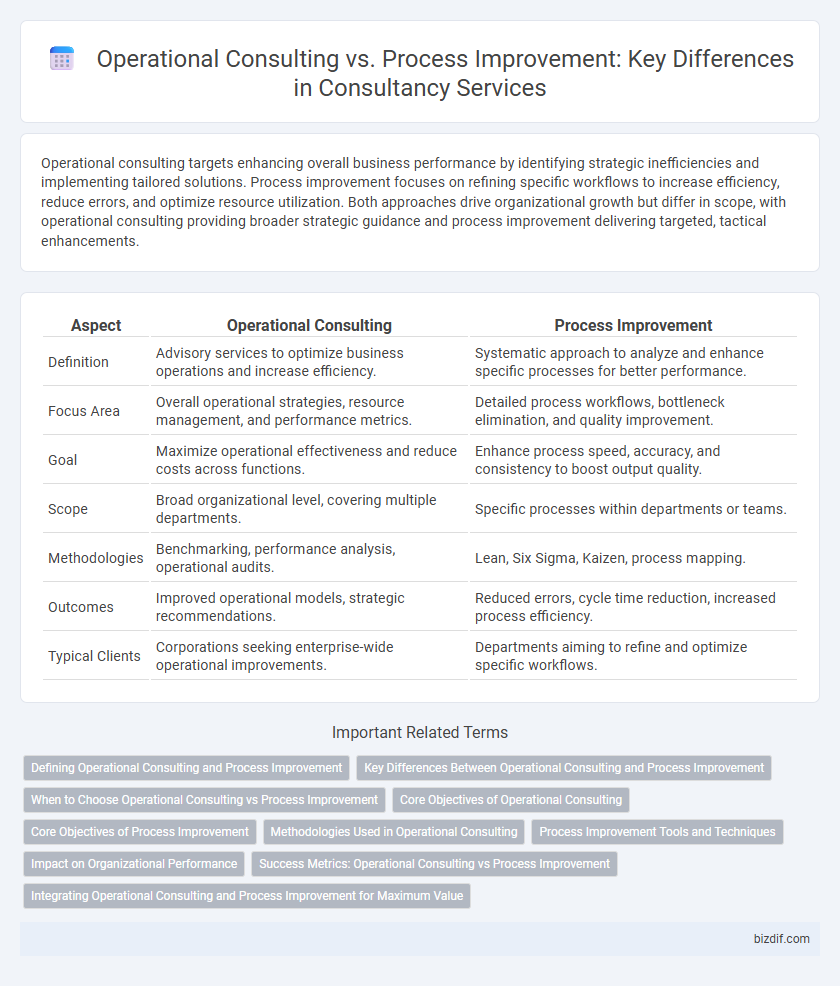 Operational Consulting vs. Process Improvement: Key Differences in Consultancy Services