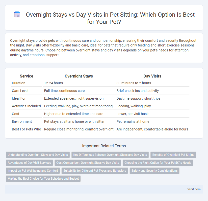 Overnight Stays vs Day Visits in Pet Sitting: Which Option Is Best for Your Pet?