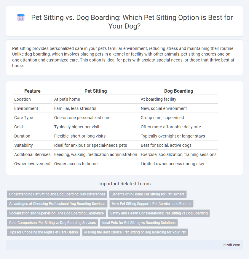 Pet Sitting vs. Dog Boarding: Which Pet Sitting Option is Best for Your Dog?