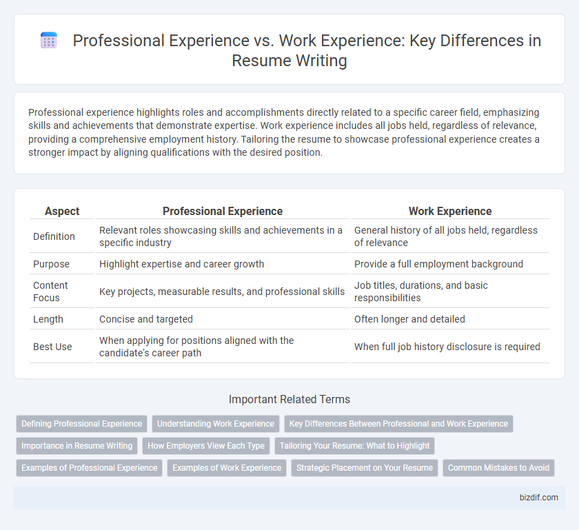 Professional Experience vs. Work Experience: Key Differences in Resume Writing
