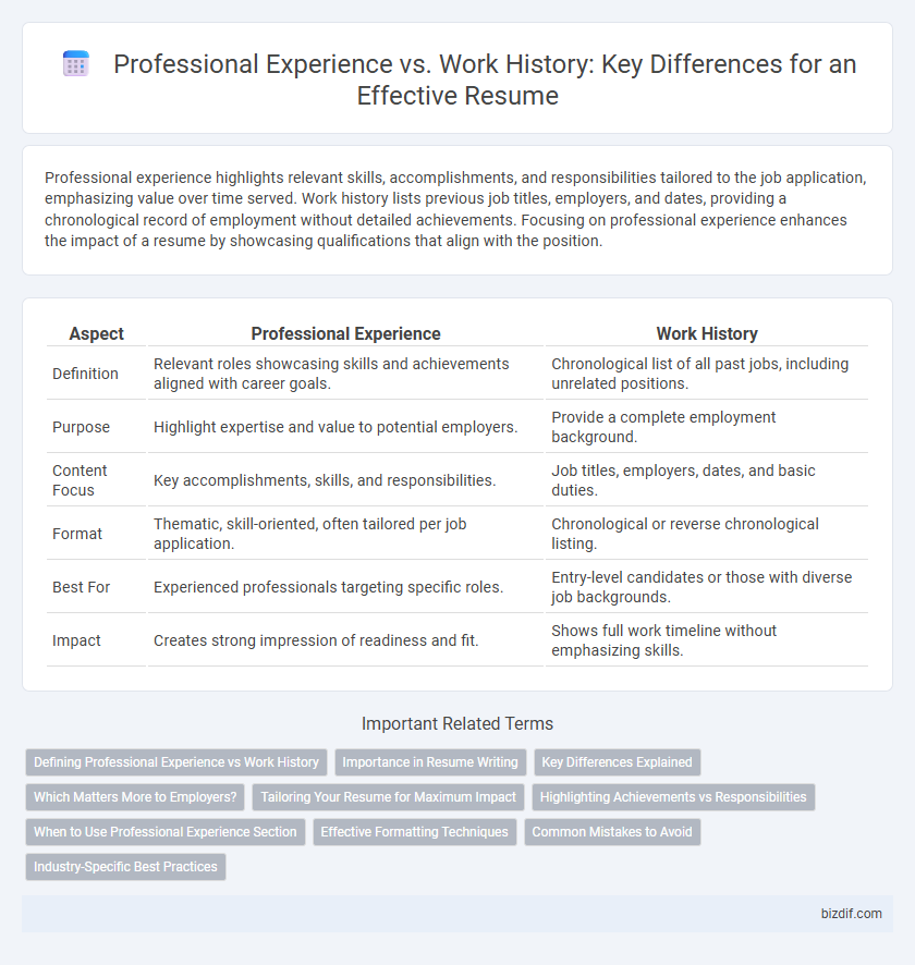 Professional Experience vs. Work History: Key Differences for an Effective Resume
