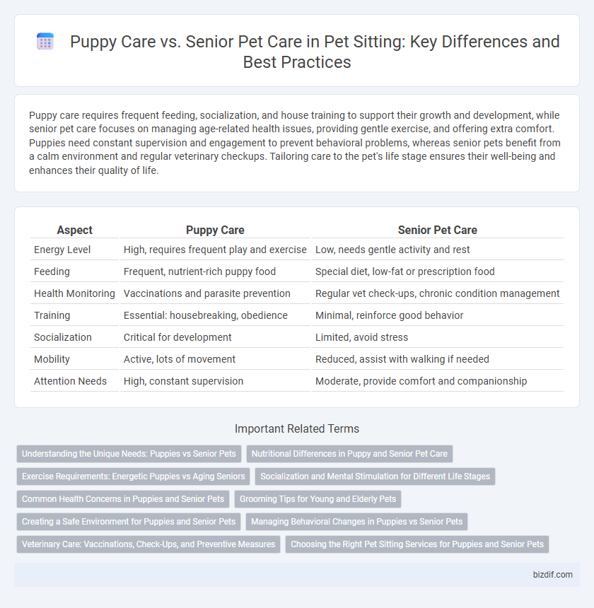 Puppy Care vs. Senior Pet Care in Pet Sitting: Key Differences and Best Practices