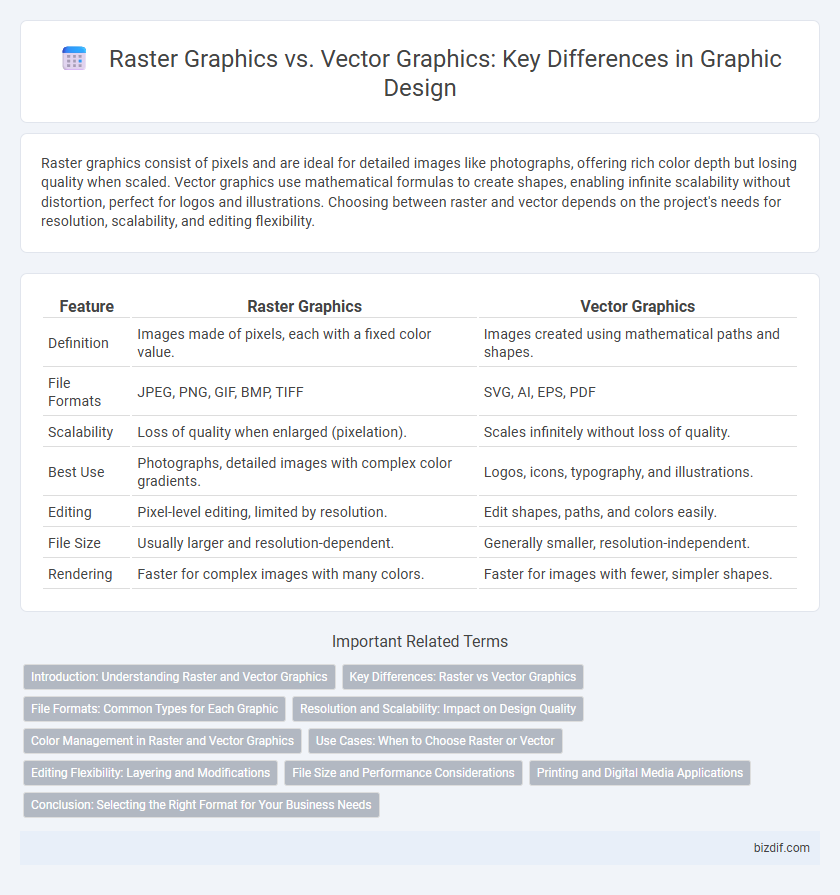 Raster Graphics vs. Vector Graphics: Key Differences in Graphic Design