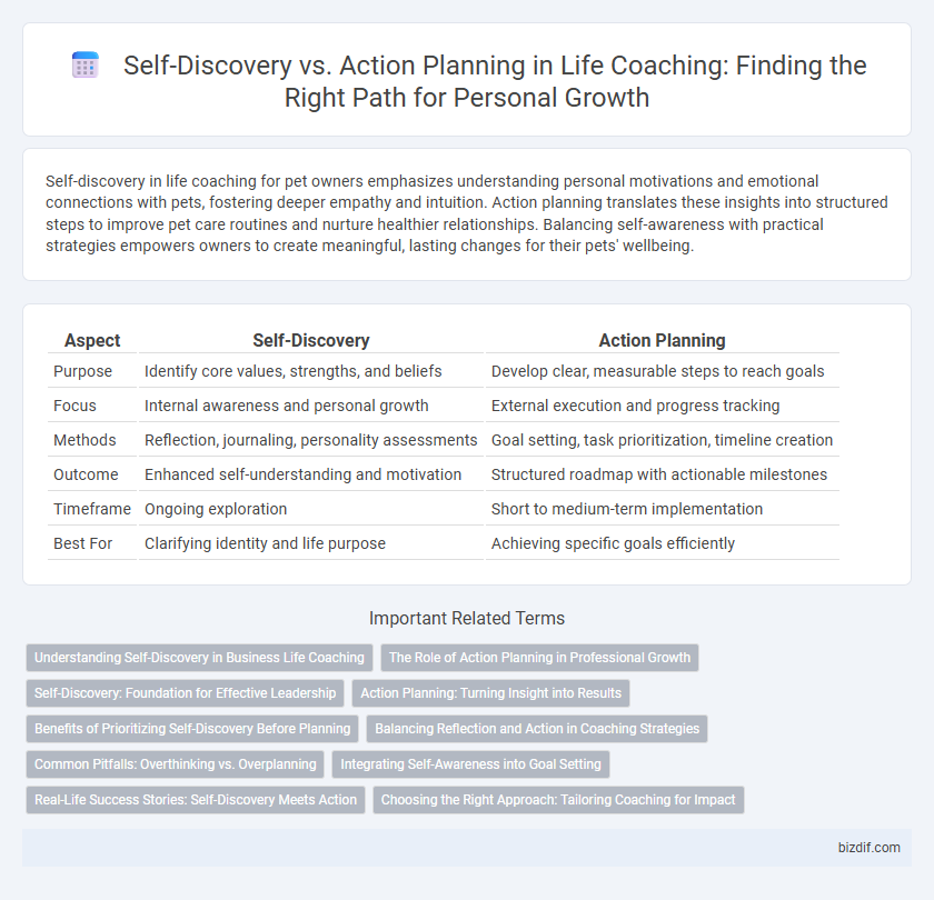 Self-Discovery vs. Action Planning in Life Coaching: Finding the Right Path for Personal Growth