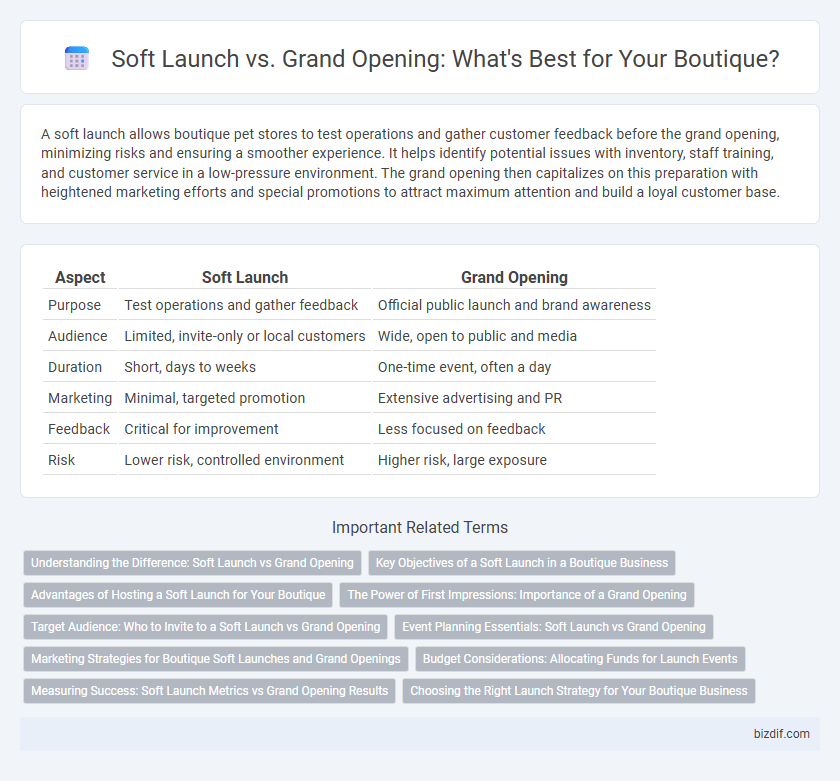 Soft Launch vs. Grand Opening: What's Best for Your Boutique?