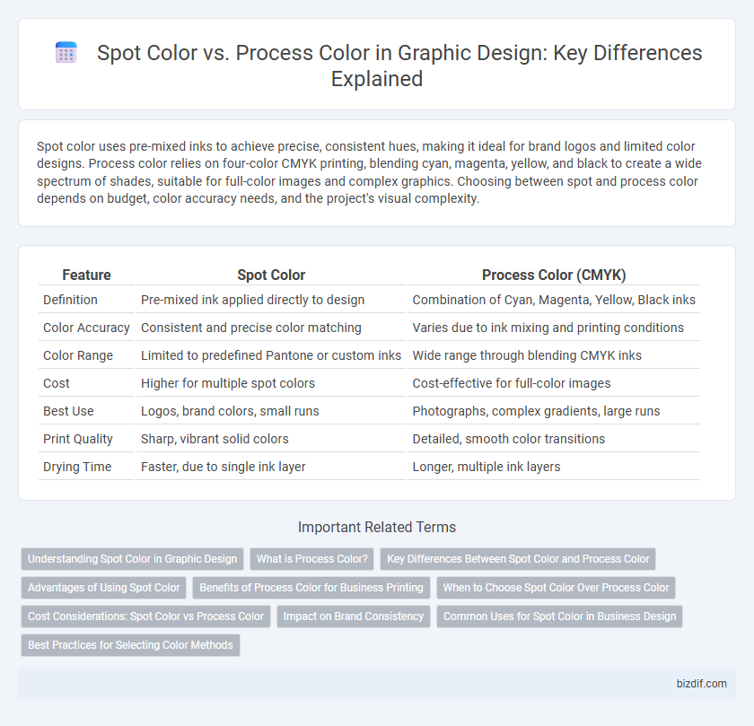 Spot Color vs. Process Color in Graphic Design: Key Differences Explained