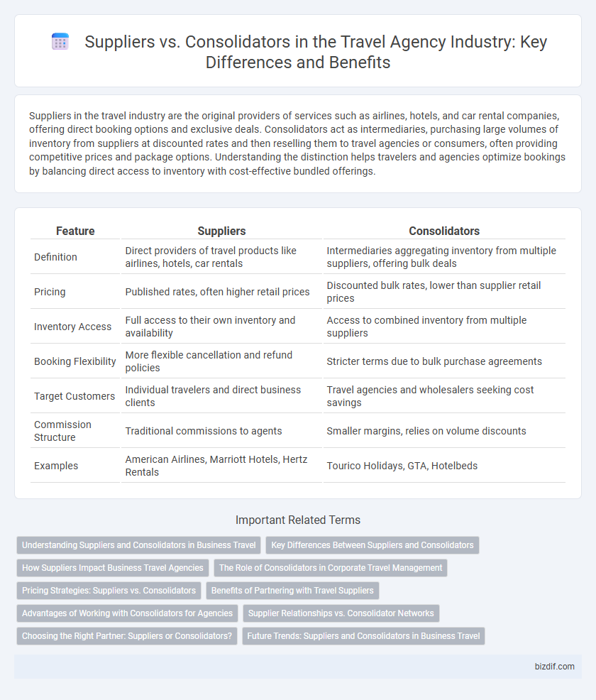 Suppliers vs. Consolidators in the Travel Agency Industry: Key Differences and Benefits