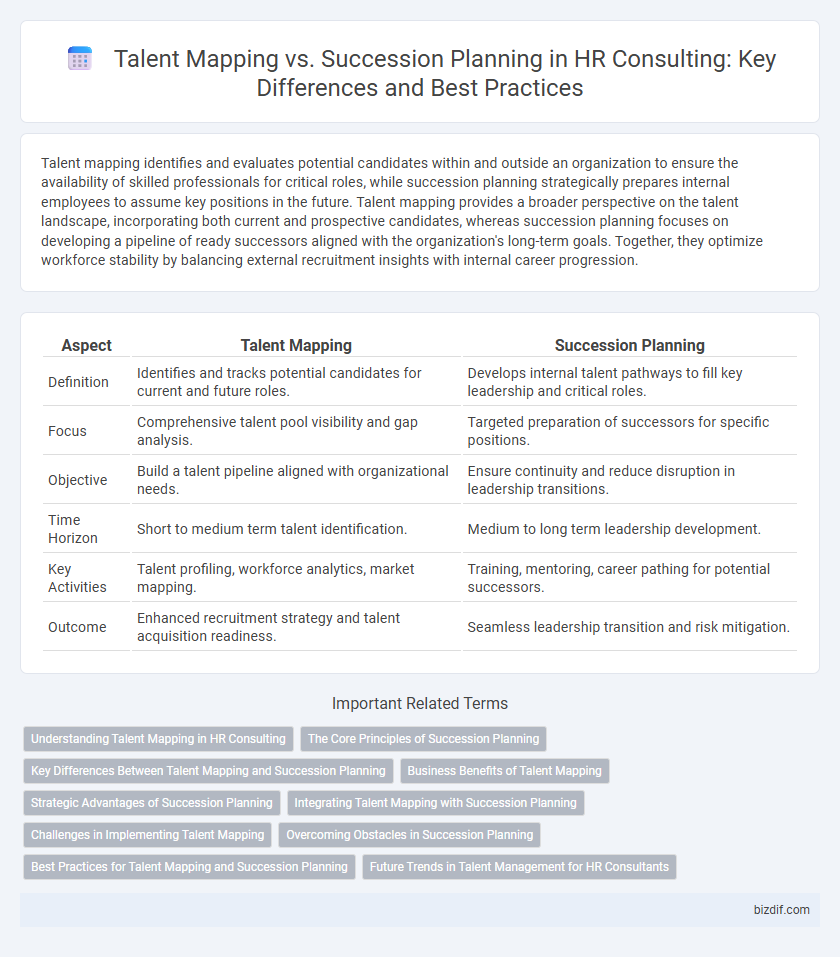 Talent Mapping vs. Succession Planning in HR Consulting: Key Differences and Best Practices