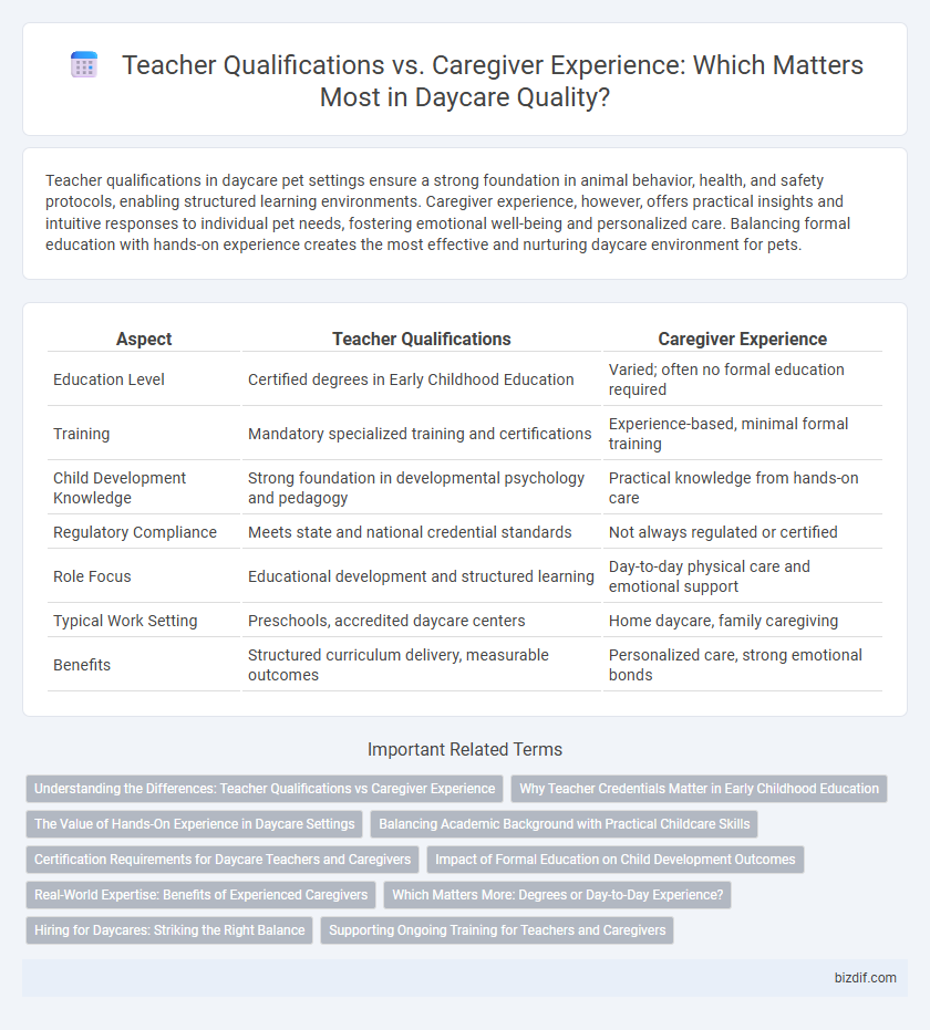 Teacher Qualifications vs. Caregiver Experience: Which Matters Most in Daycare Quality?
