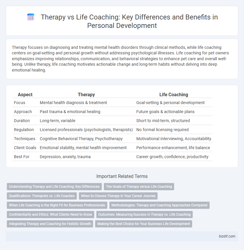 Therapy vs Life Coaching: Key Differences and Benefits in Personal Development