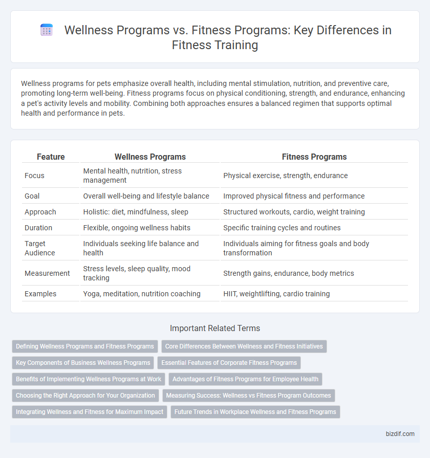 Wellness Programs vs. Fitness Programs: Key Differences in Fitness Training