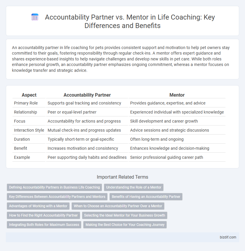 Accountability Partner vs. Mentor in Life Coaching: Key Differences and Benefits
