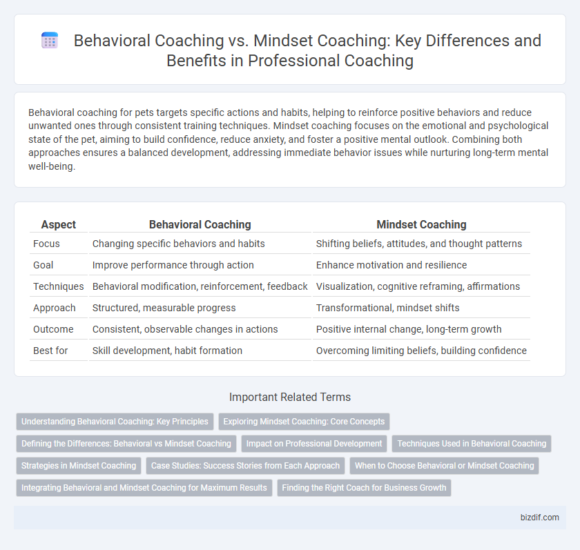 Behavioral Coaching vs. Mindset Coaching: Key Differences and Benefits in Professional Coaching