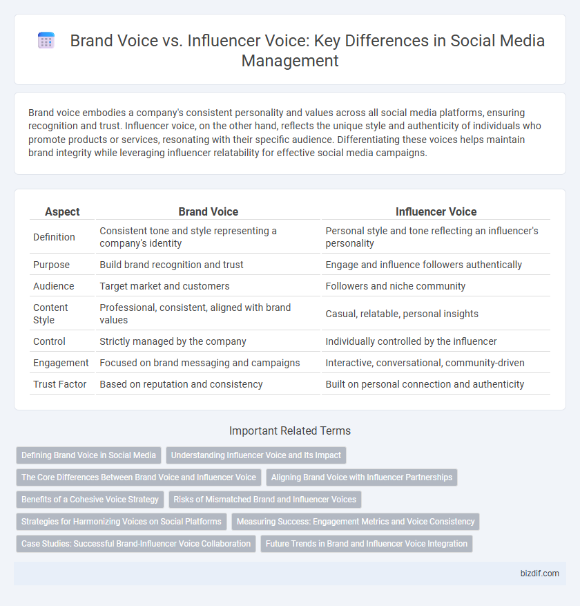 Brand Voice vs. Influencer Voice: Key Differences in Social Media Management