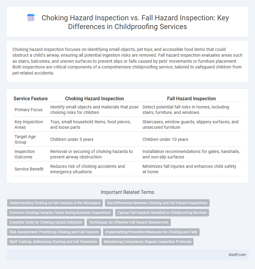 Choking Hazard Inspection vs. Fall Hazard Inspection: Key Differences in Childproofing Services