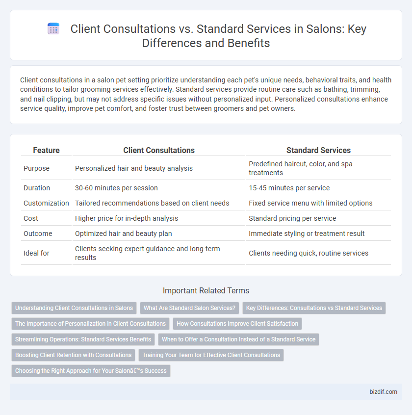 Client Consultations vs. Standard Services in Salons: Key Differences and Benefits