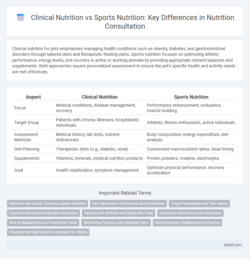 Clinical Nutrition vs Sports Nutrition: Key Differences in Nutrition Consultation