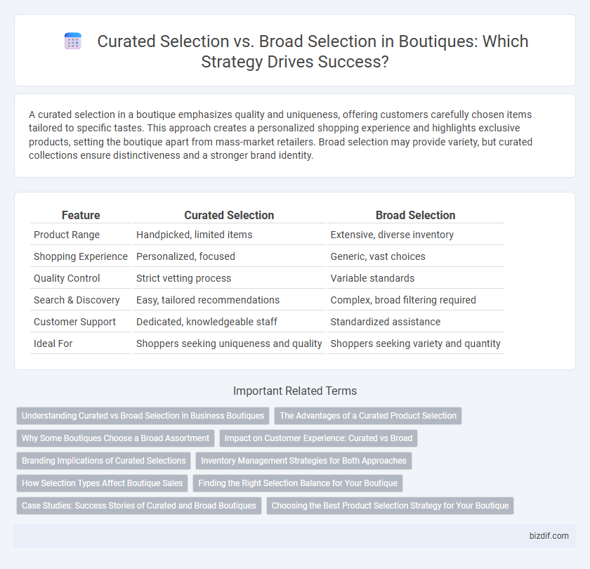 Curated Selection vs. Broad Selection in Boutiques: Which Strategy Drives Success?