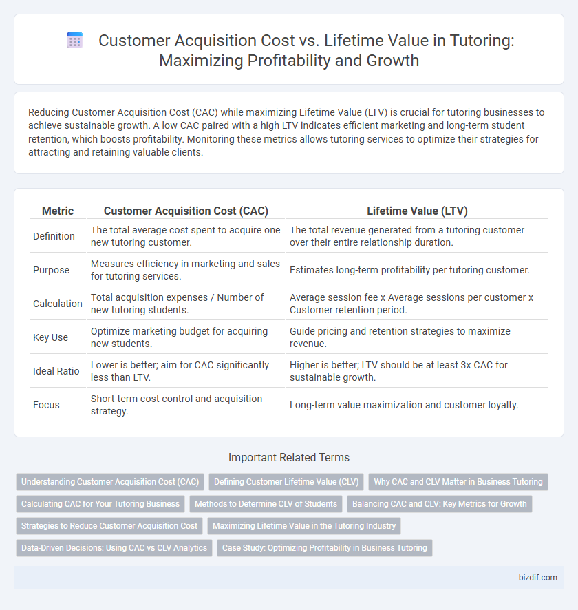 Customer Acquisition Cost vs. Lifetime Value in Tutoring: Maximizing Profitability and Growth