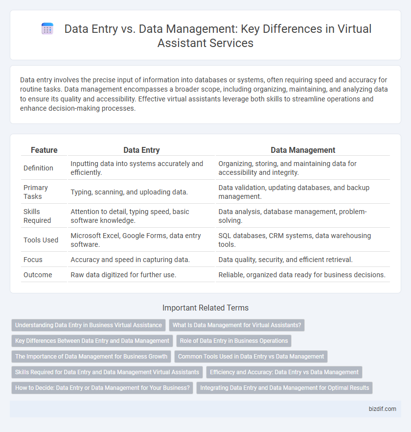 Data Entry vs. Data Management: Key Differences in Virtual Assistant Services