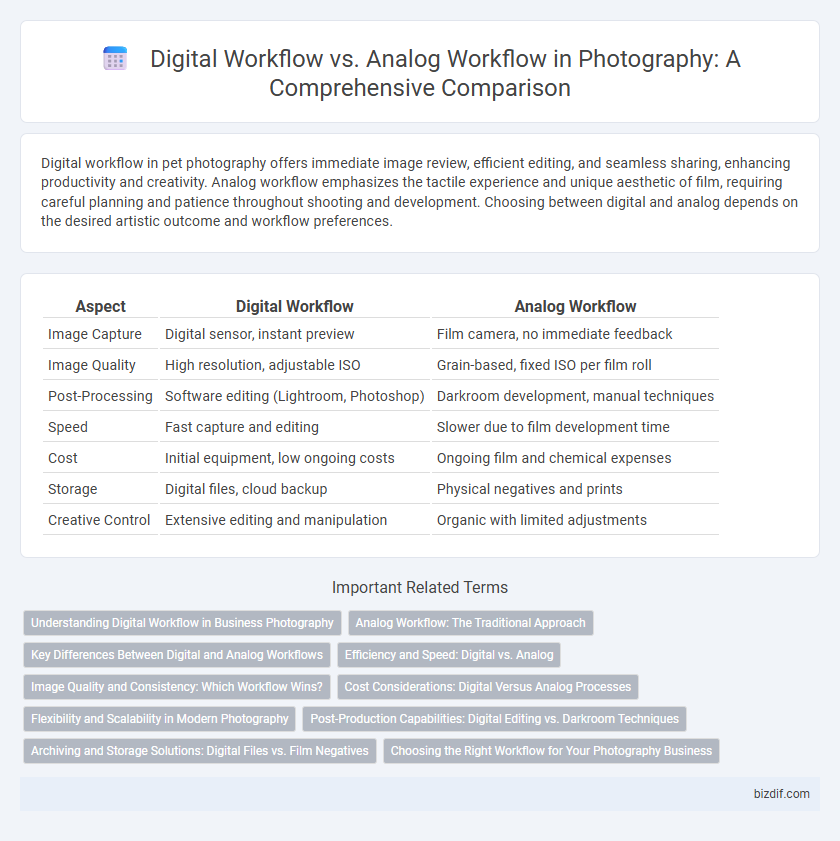 Digital Workflow vs. Analog Workflow in Photography: A Comprehensive Comparison