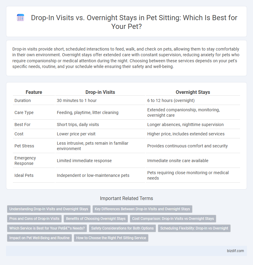 Drop-In Visits vs. Overnight Stays in Pet Sitting: Which Is Best for Your Pet?