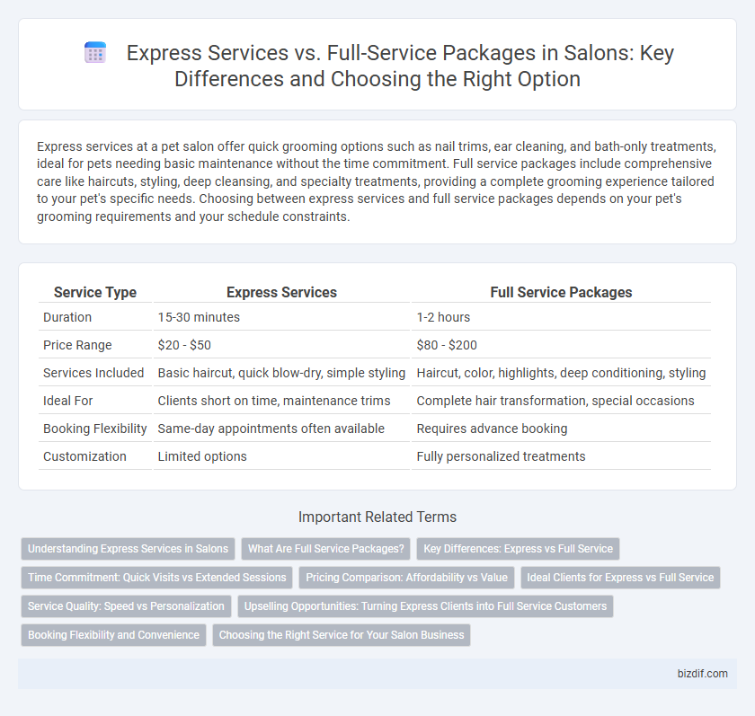 Express Services vs. Full-Service Packages in Salons: Key Differences and Choosing the Right Option