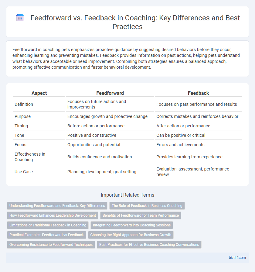Feedforward vs. Feedback in Coaching: Key Differences and Best Practices