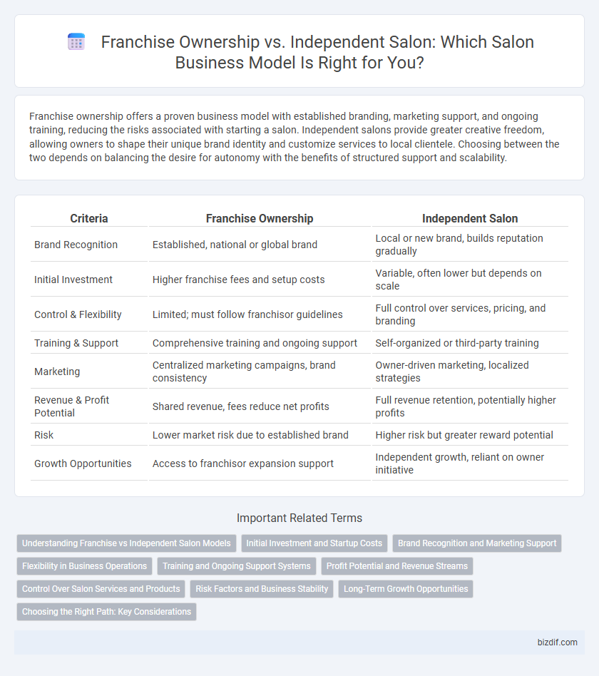 Franchise Ownership vs. Independent Salon: Which Salon Business Model Is Right for You?