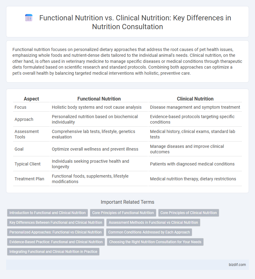 Functional Nutrition vs. Clinical Nutrition: Key Differences in Nutrition Consultation